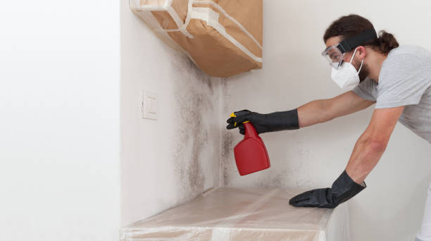 Professional Mold Remediation technician working in Lower Grand Lagoon, FL